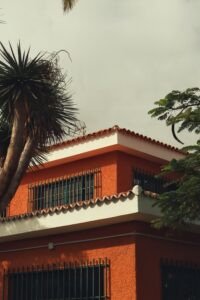 paysage-puerto-de-la-cruz