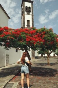 paysage-santa-cruz